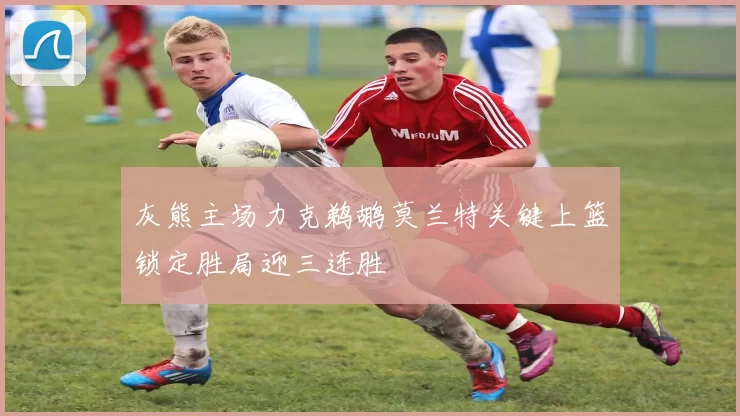 灰熊主场力克鹈鹕莫兰特关键上篮锁定胜局迎三连胜