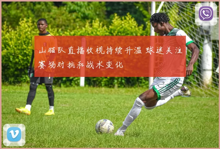 山猫队直播收视持续升温 球迷关注赛场对抗和战术变化