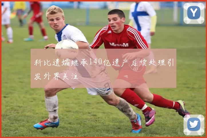 科比遗孀继承140亿遗产后续处理引发外界关注