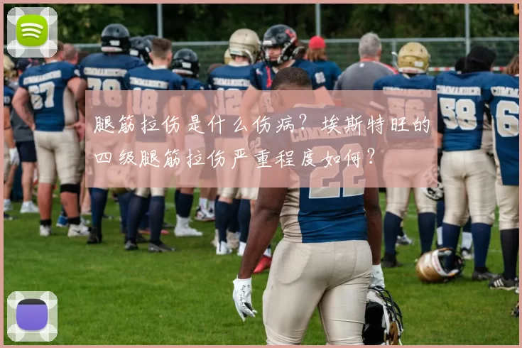 腿筋拉伤是什么伤病？埃斯特旺的四级腿筋拉伤严重程度如何？