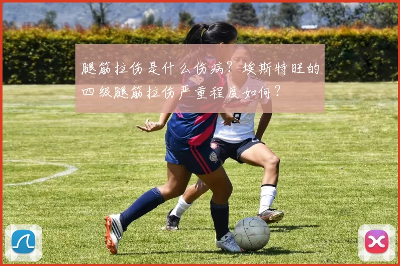 腿筋拉伤是什么伤病？埃斯特旺的四级腿筋拉伤严重程度如何？